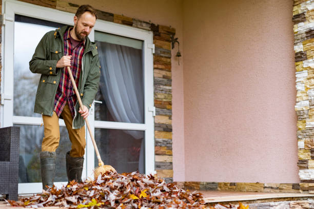 Debris Removal in Sunnyvale, TX